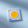 Cree XLamp CXA1304 COB 36V 3-7W