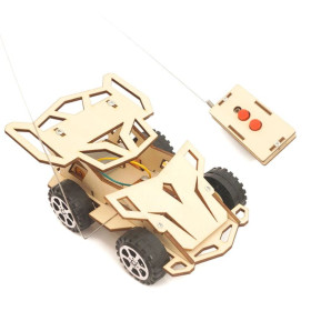 DIY remote control car kit, wood, 4x4