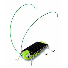 Solares Insekt