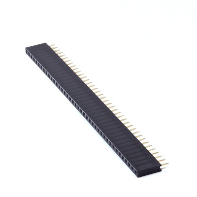 40 pin 2.54 female header