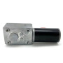 Motor cu reductor melcat 5840-31ZY 12V 12RPM