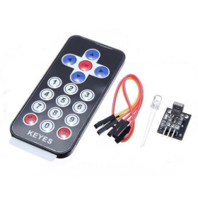 IR module Receiver plus remote control